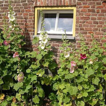 Bed and Breakfast Bed & Breakfast Appeltern