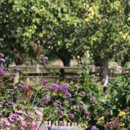 Frühstückspension Bed&Breakfast Appeltern 3*